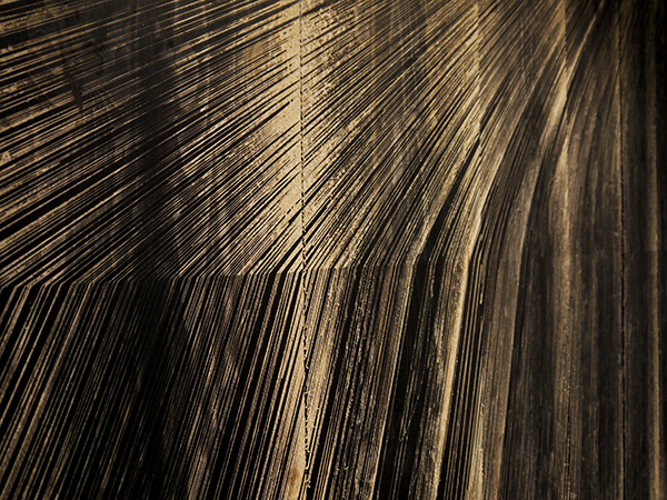 Line01 02